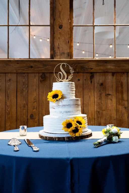 Anita's Cakes and Bakes