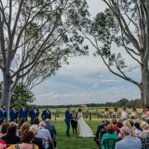 Brenda Bell - Celebrant In The Vines