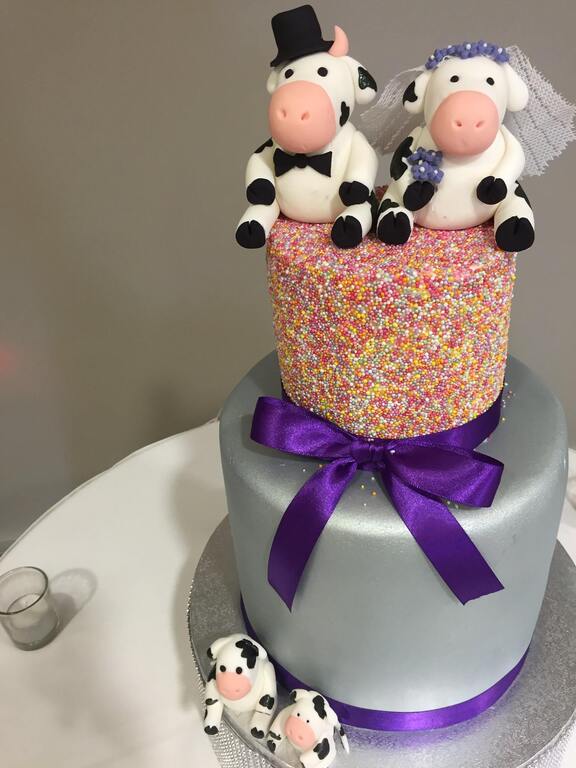 Coast to Country Weddings and Events