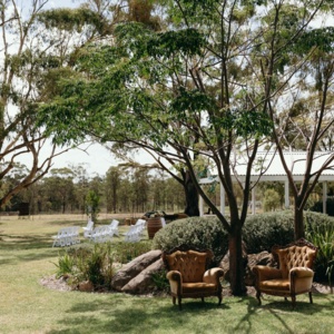 Starline Alpacas Farmstay Resort