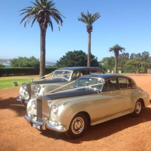 Variety Wedding Cars