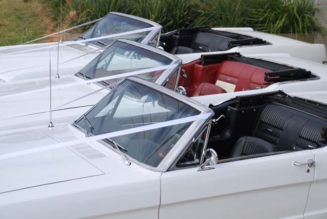 Sydney Mustangs Wedding Cars