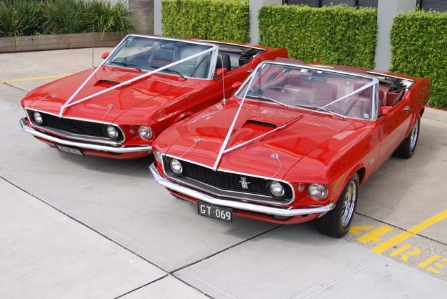 Sydney Mustangs Wedding Cars