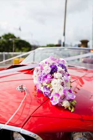 Sydney Mustangs Wedding Cars