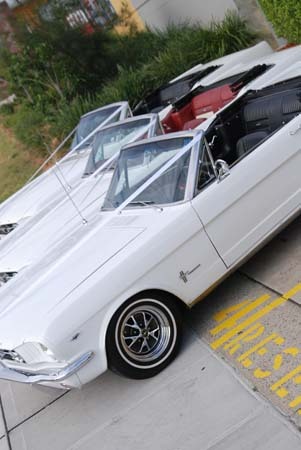 Sydney Mustangs Wedding Cars