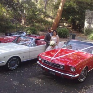 Sydney Mustangs Wedding Cars