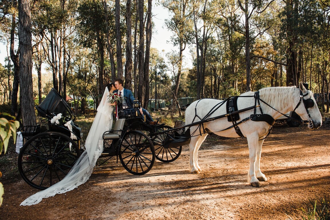 Charming Carriages