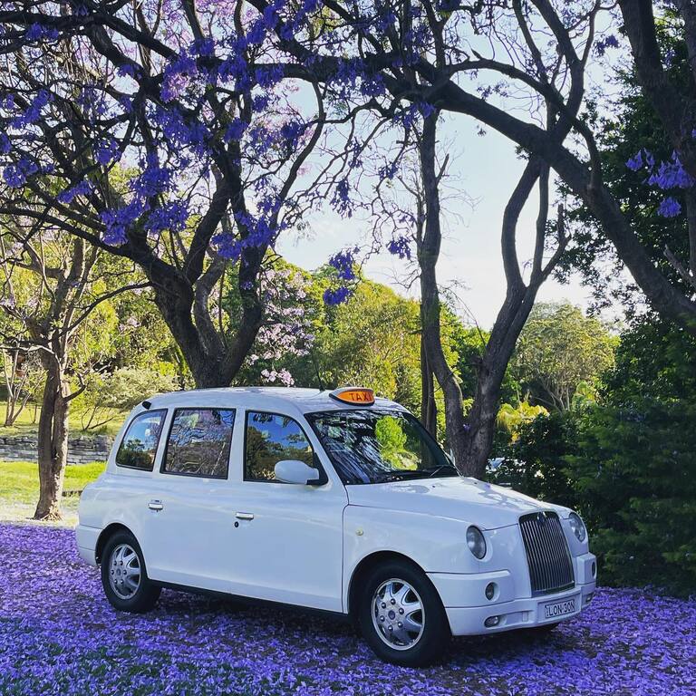 London Black Taxi Cab Central