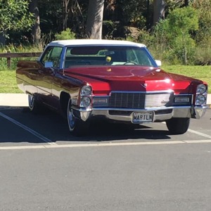 Northern Beaches Wedding Cars