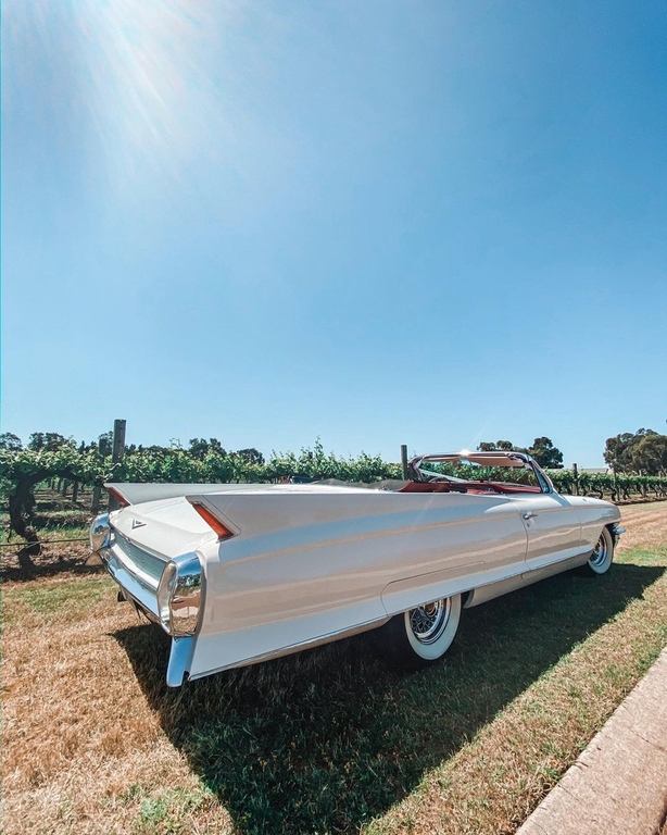 Perth Classic Charters