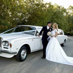 Richmond Palace RR Limousines