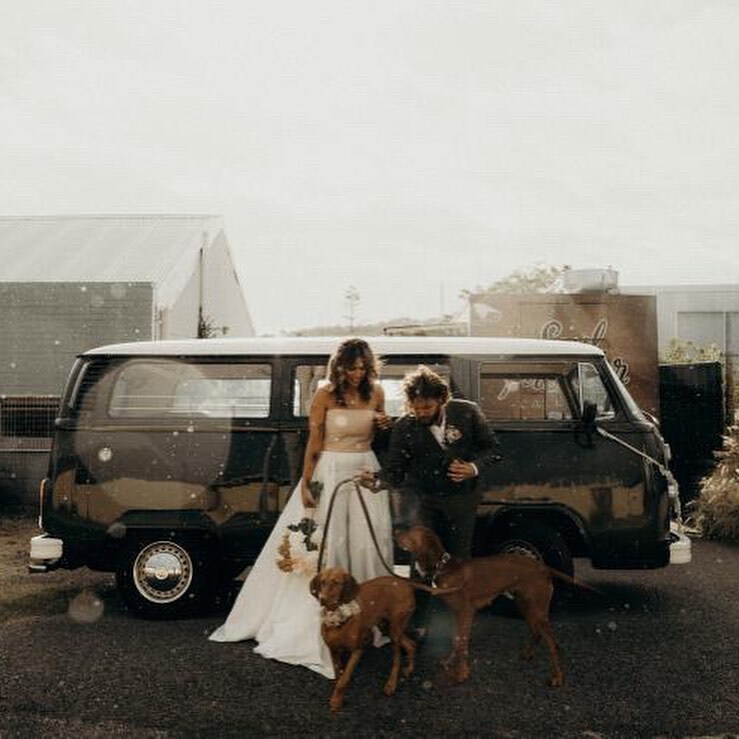 Vintage Kombi Promotions