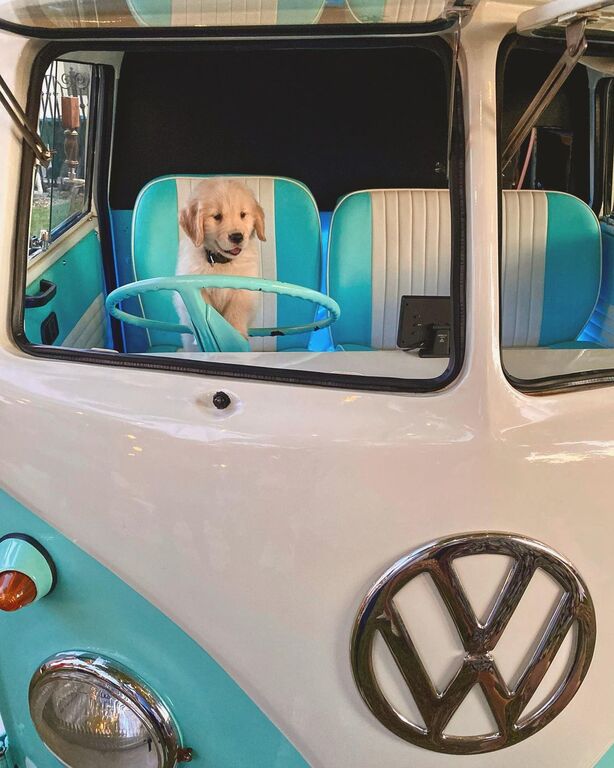 Kombi Keg Gold Coast