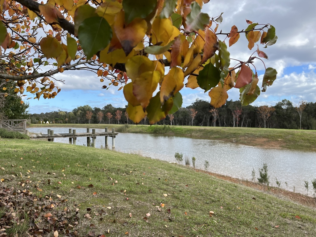 Dalywaters Rose Garden & Chapel