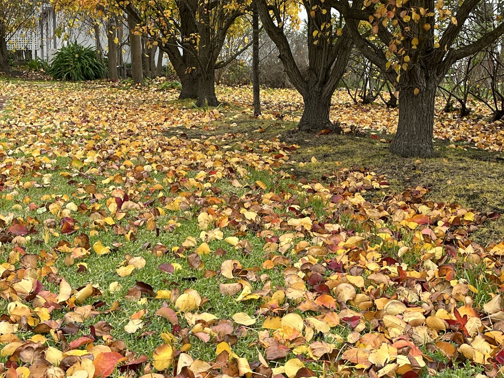 Dalywaters Rose Garden & Chapel