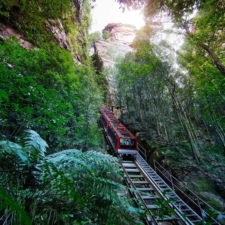Sydney Zoo