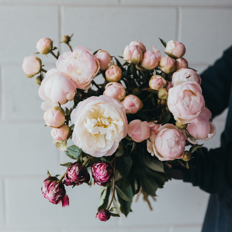 Gisborne Cottage Flowers