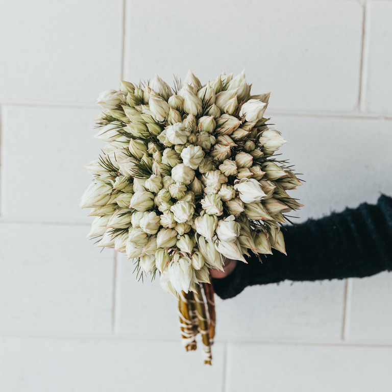 Gisborne Cottage Flowers