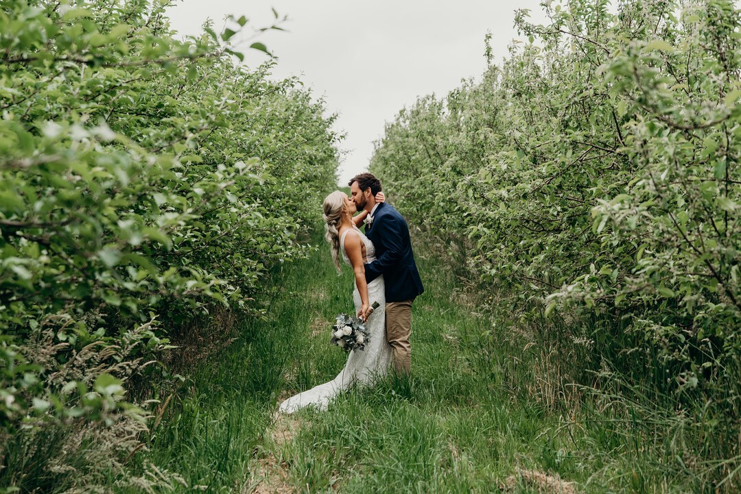 The Apple Farm