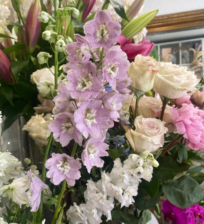 Flowers at Kirribilli