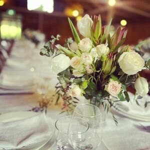 Flowers at Kirribilli