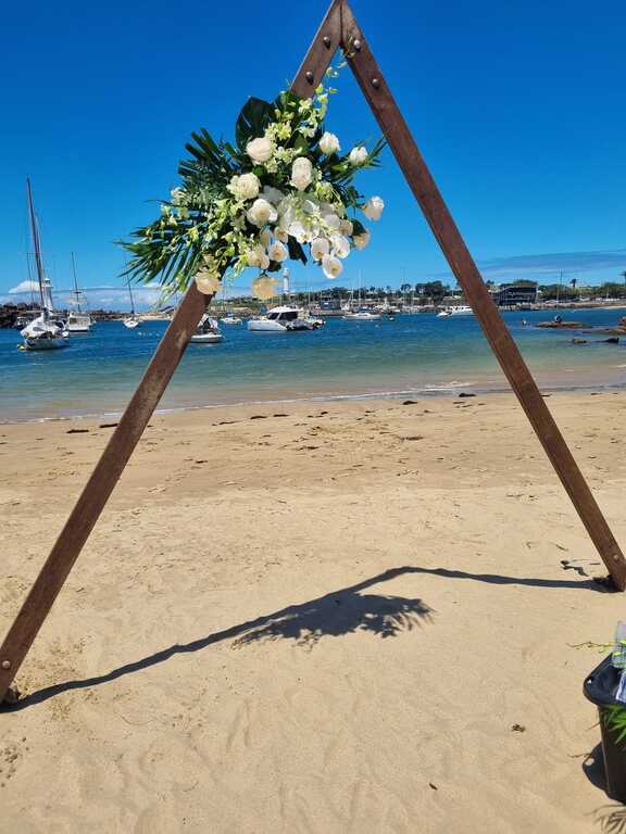 All Occasion Flowers