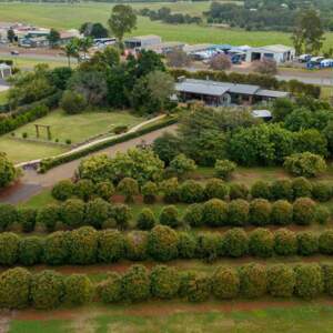 Rusty Gate Grove Bar & Winery