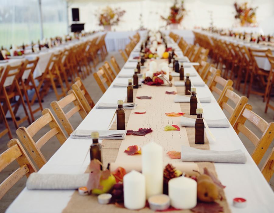 Bridgeward Grove Olives