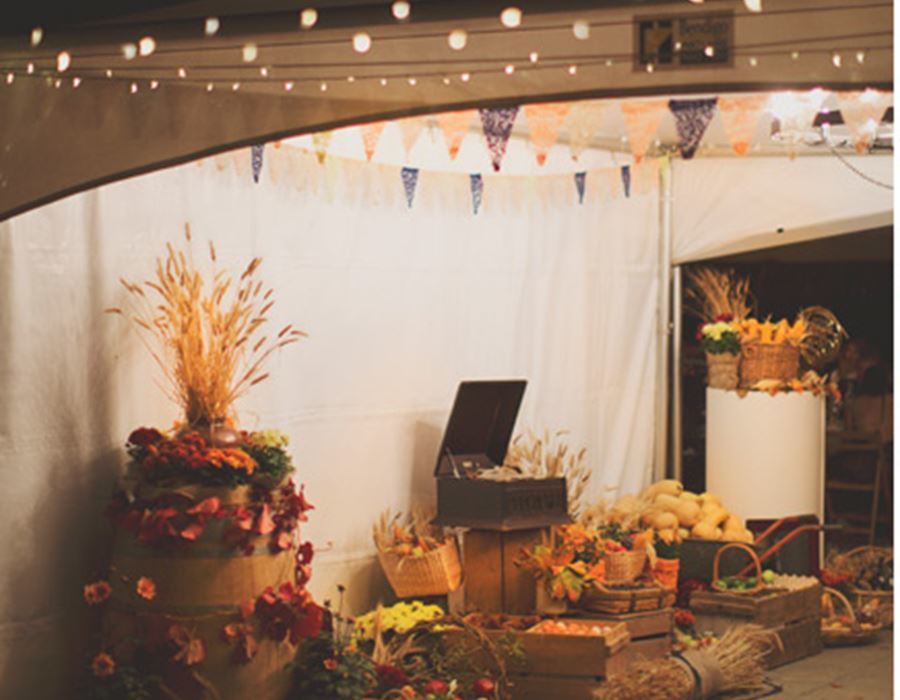 Bridgeward Grove Olives