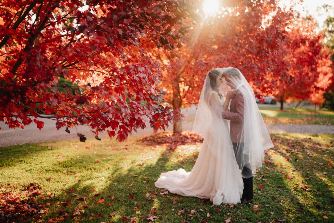 Growwild Wildflower Farm