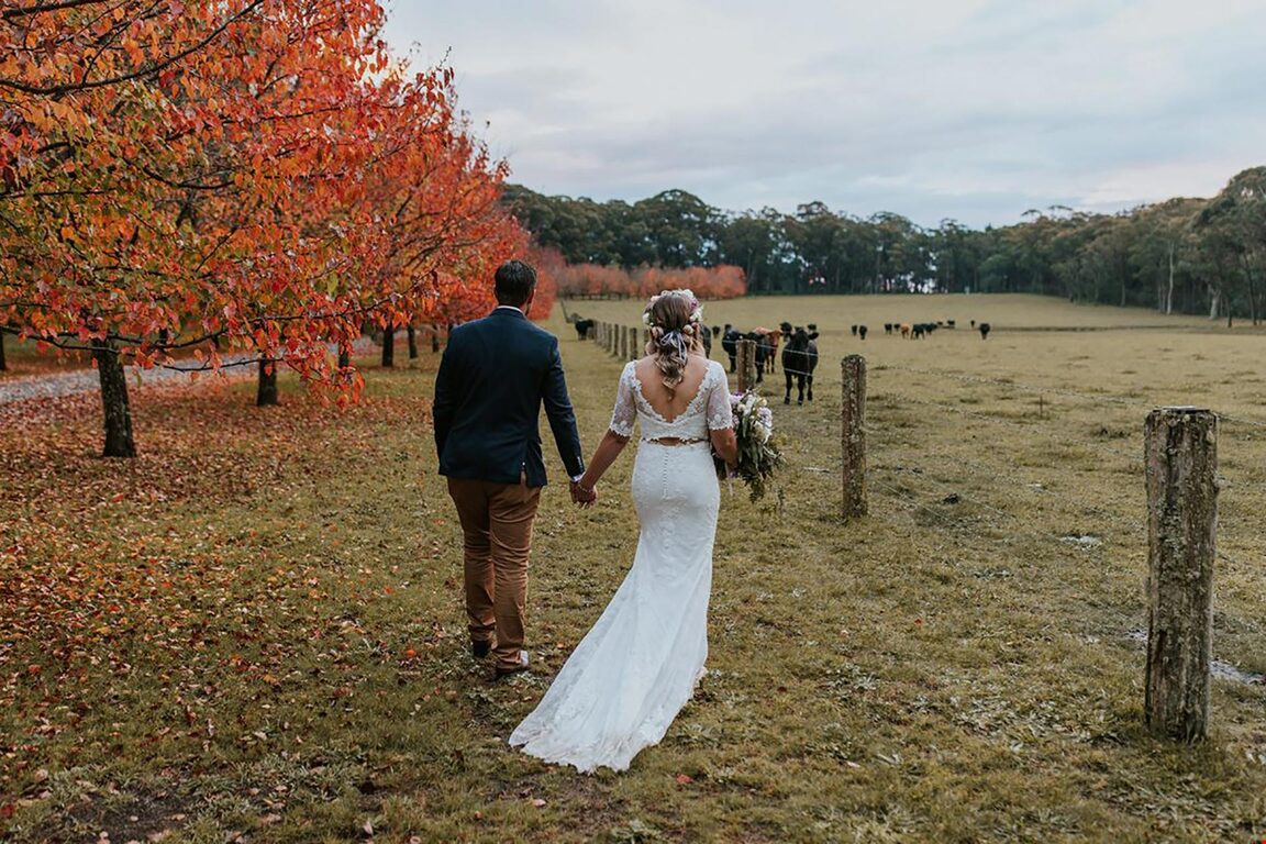 Bungalow Guesthouse - Fitzroy Falls