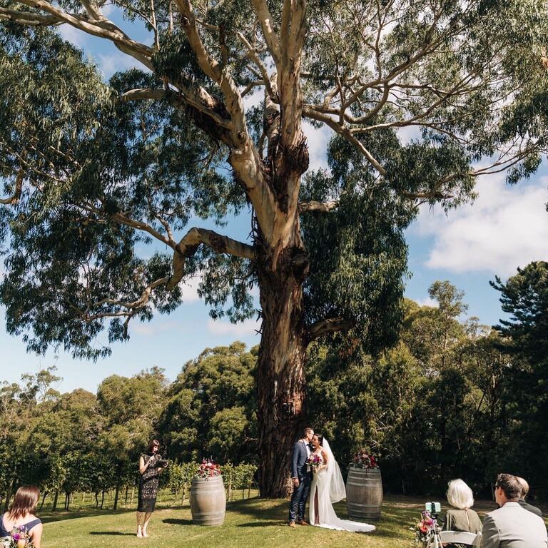 Red Hill Estate - Max's Restaurant