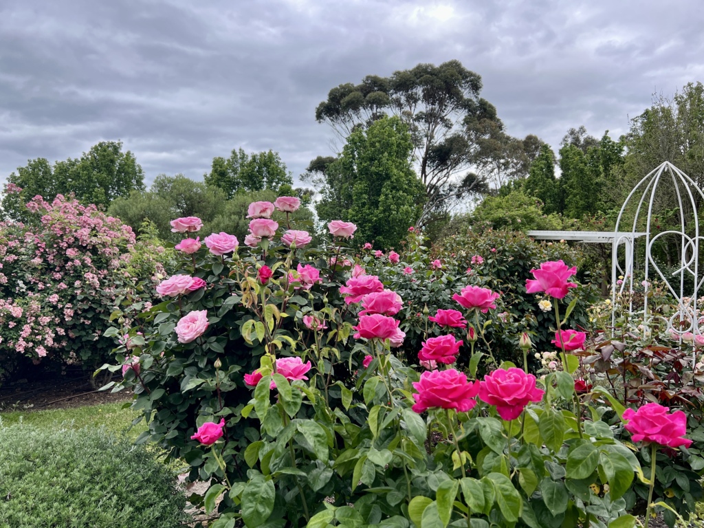 Dalywaters Rose Garden & Chapel