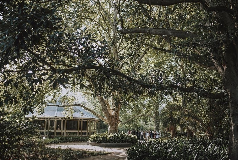 Weddings Botanic Gardens