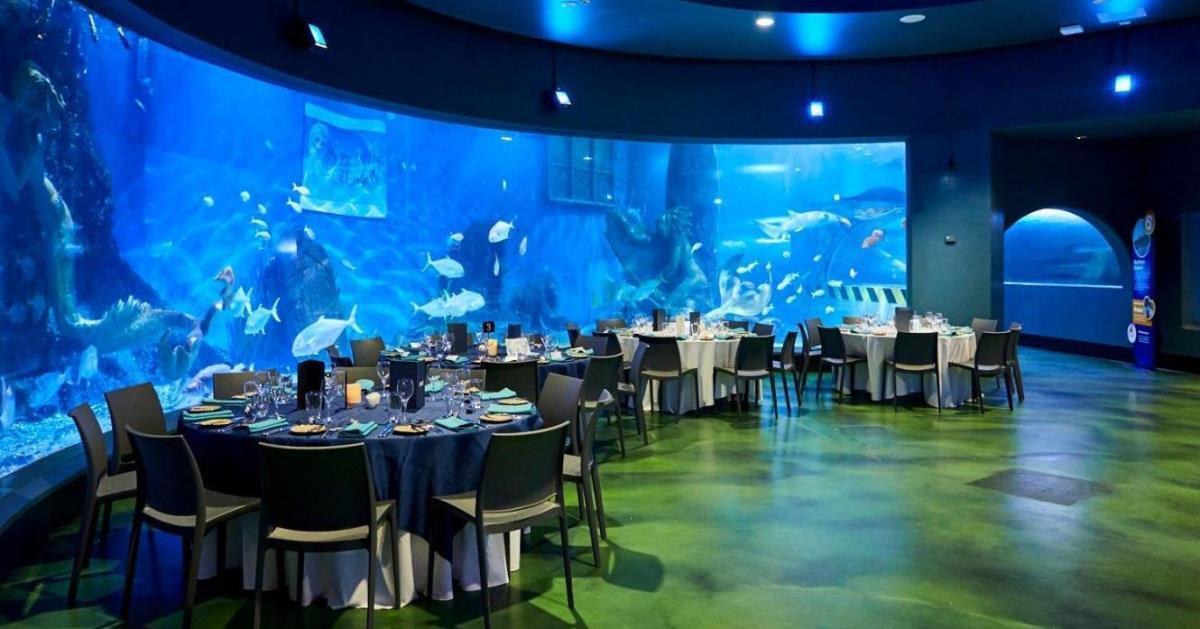 SeaLife Melbourne Aquarium