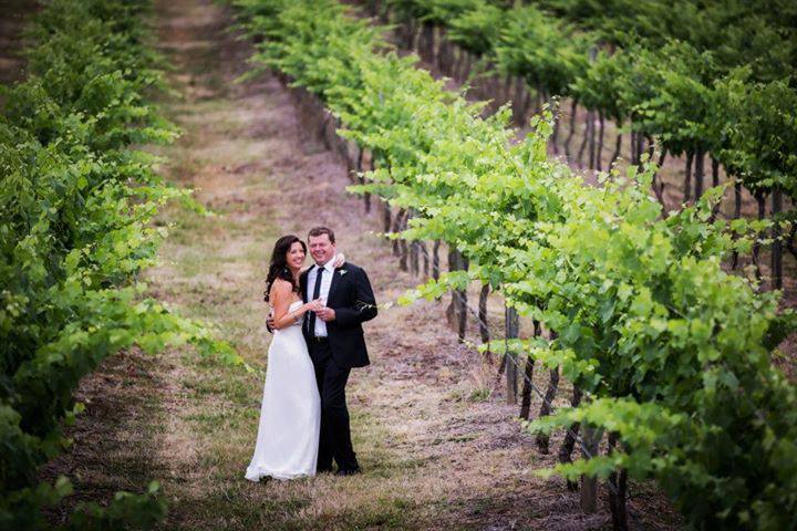 Mount Broke Wines