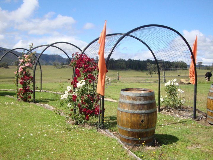 Mount Broke Wines