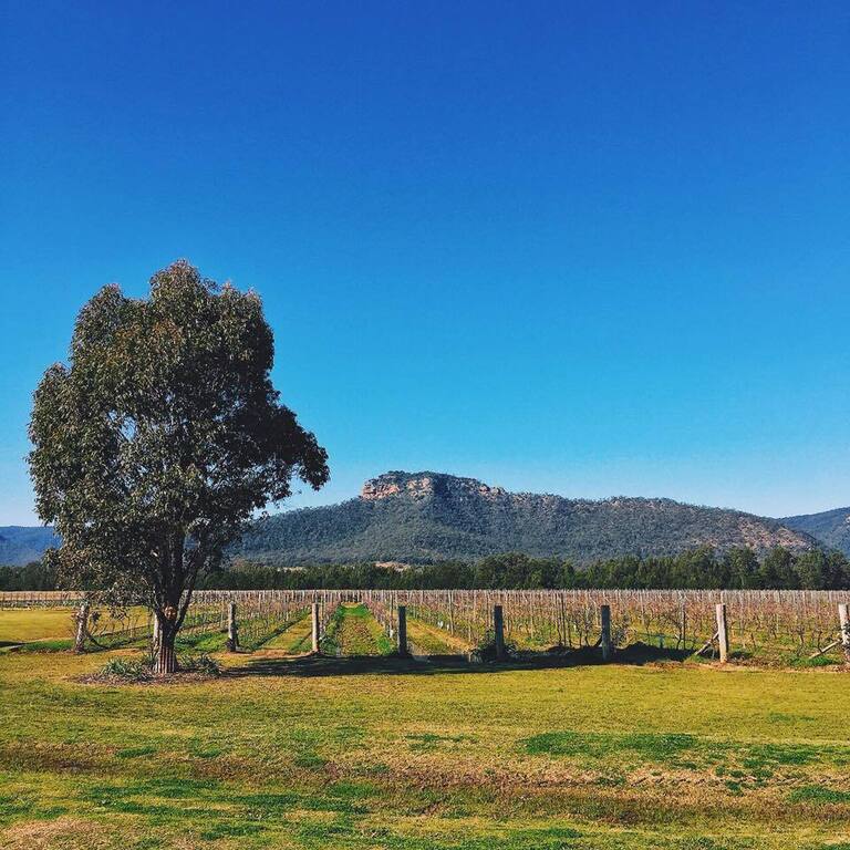 Margan Restaurant and Winery