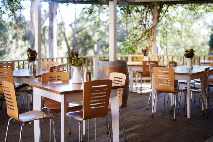 Briar Ridge Vineyard