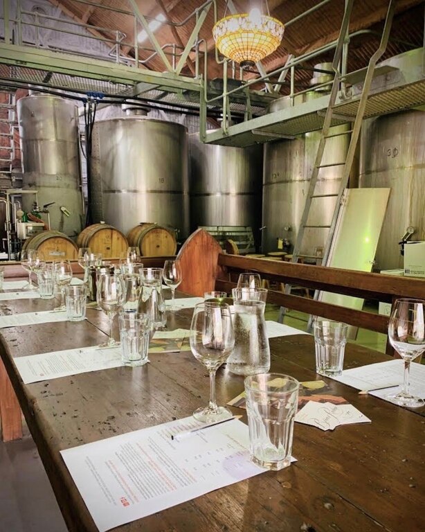 Briar Ridge Vineyard