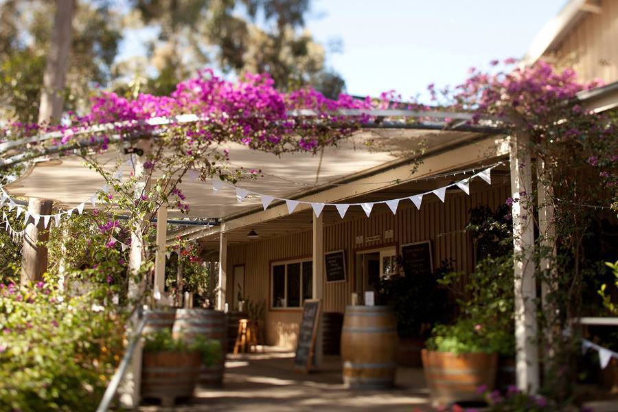 Briar Ridge Vineyard