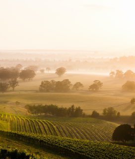Hunter Valley